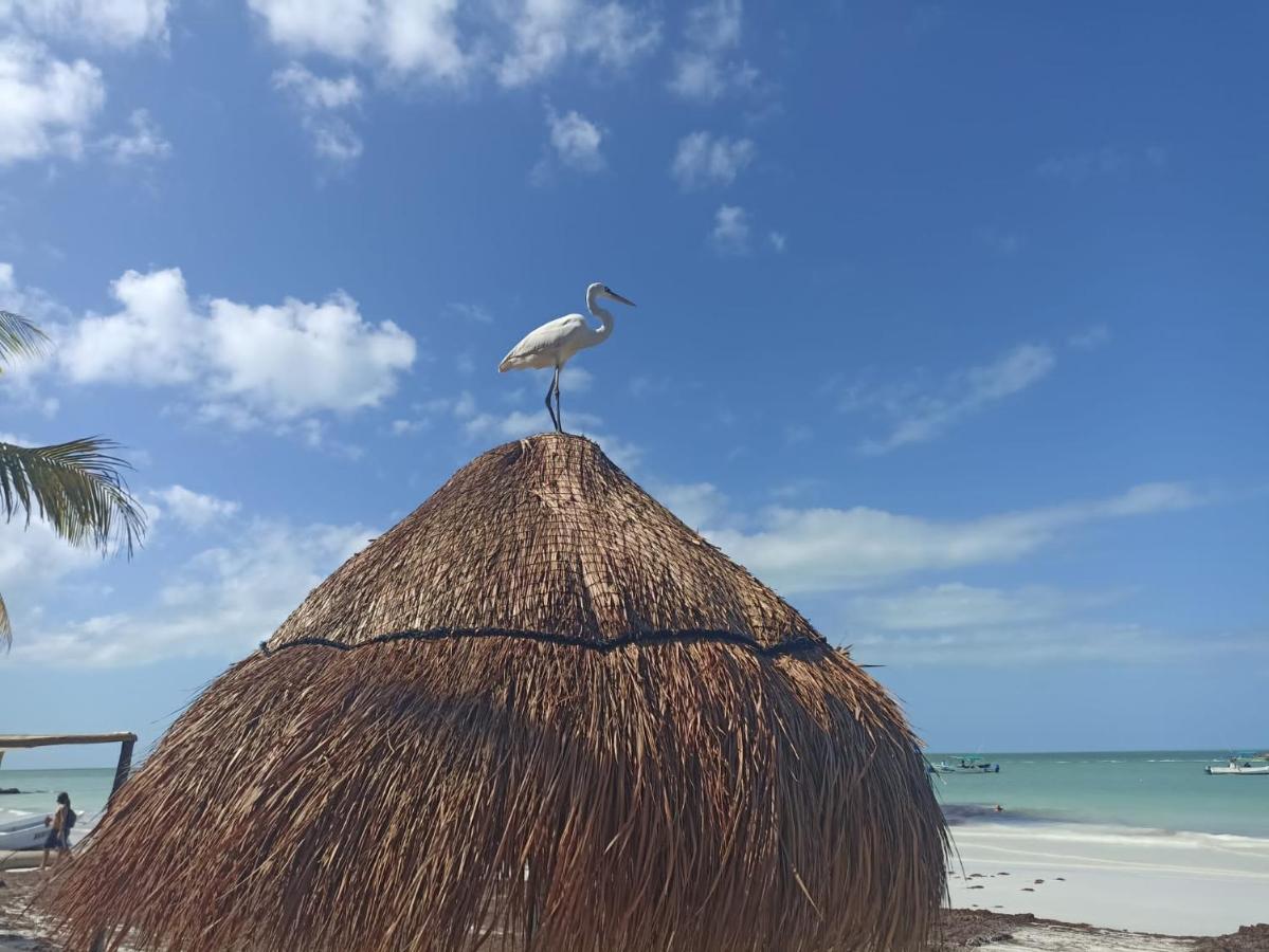 Hostel Utopia Ilha Holbox Exterior foto